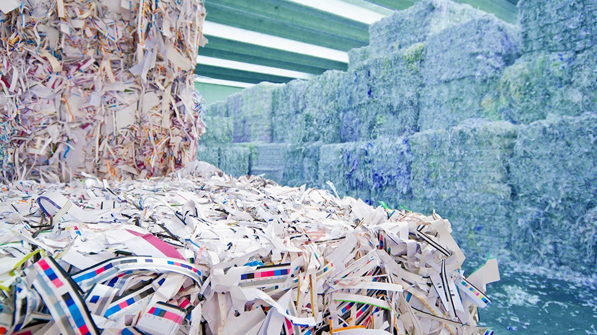 ¿Cómo se hace el papel reciclado? 
