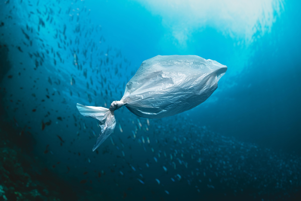 contaminación marina