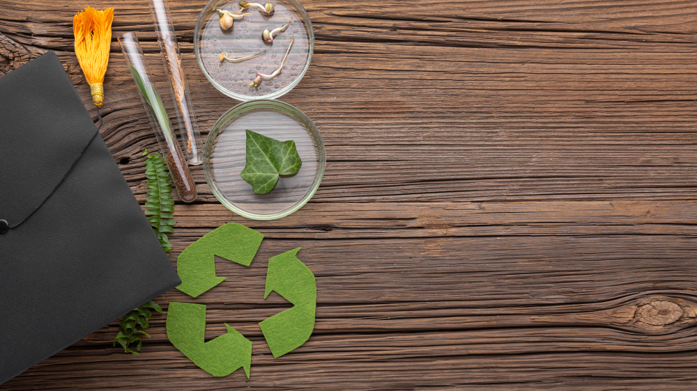 bioplasticos