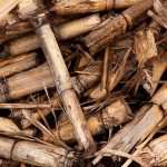 Biomasa y biogás